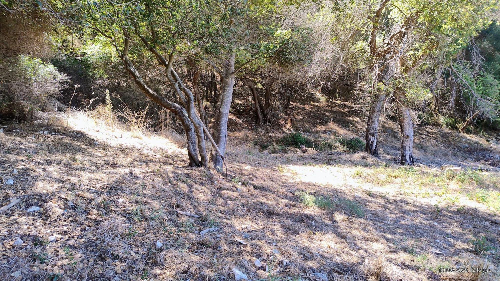 Amfilohias παραθαλάσσιο εξοχικό Filoxenia Spárton